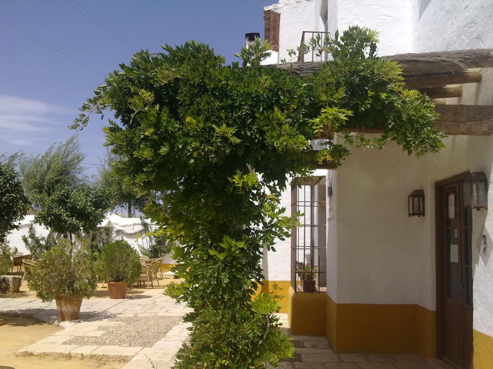 Posada De Jose Mª El Tempranillo Alameda Eksteriør billede